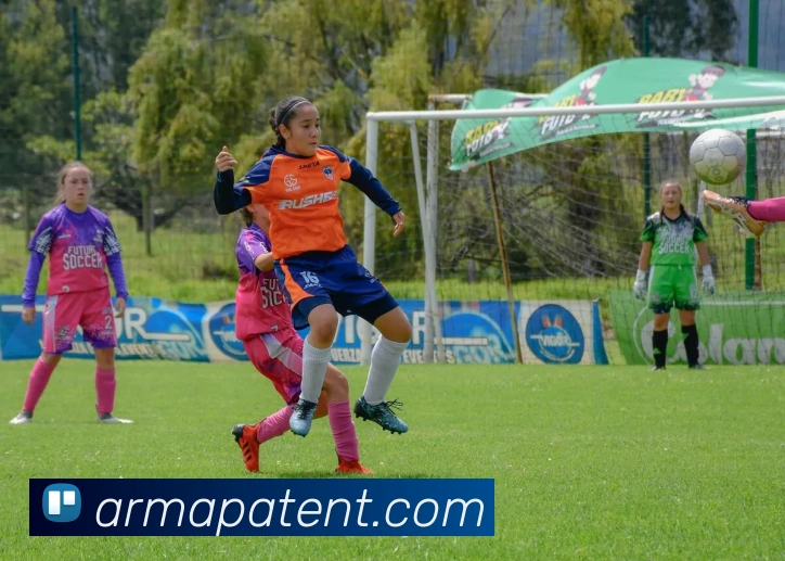 奖项证书